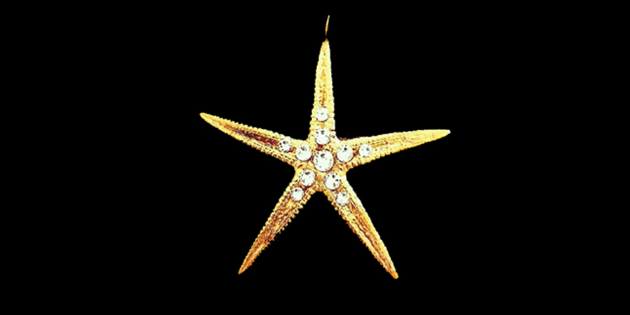 Deniz yıldızı