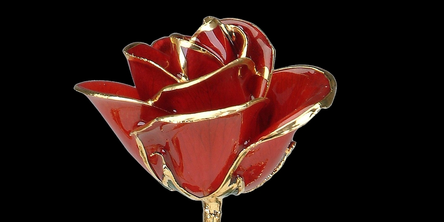 Kırmızı Gül Altın